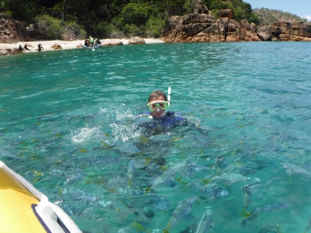 swimming-with-fish on the reef