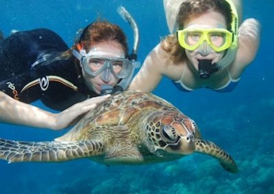 snorkelling on Avatar Whitsundays backpacker tour