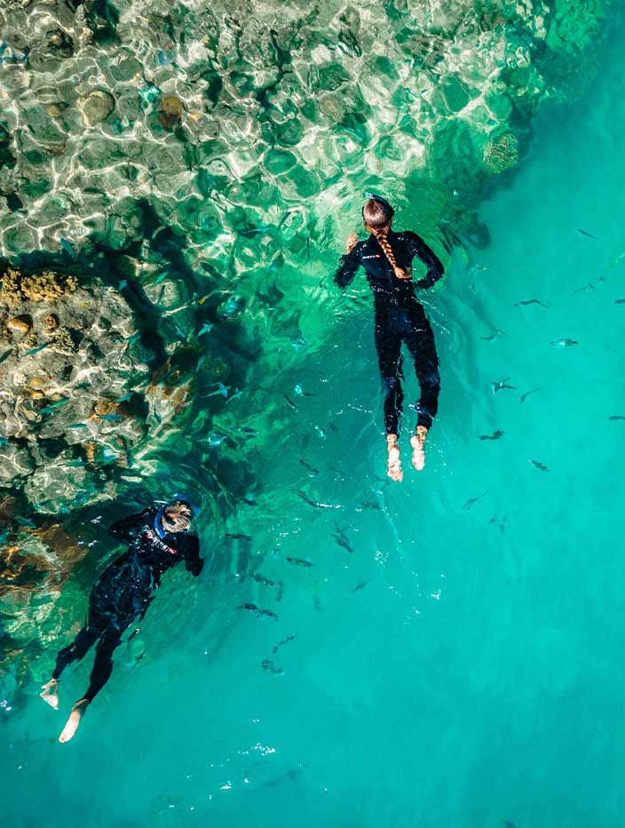 Snorkelling in the Whitsunday islands
